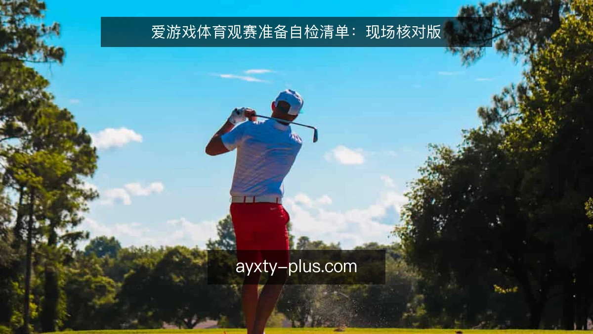 爱游戏体育观赛准备自检清单：现场核对版