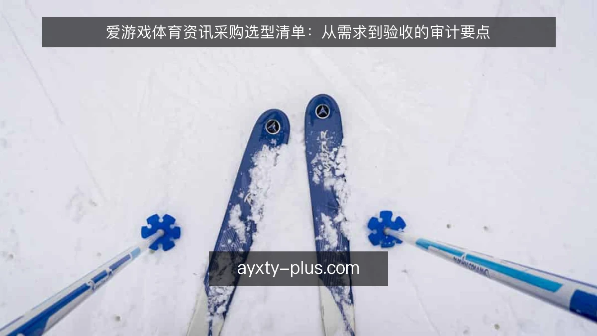 爱游戏体育资讯采购选型清单：从需求到验收的审计要点