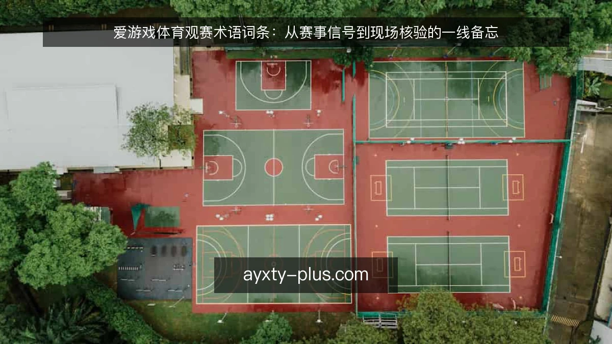 爱游戏体育观赛术语词条：从赛事信号到现场核验的一线备忘