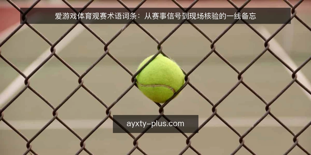 爱游戏体育观赛术语词条:从赛事信号到现场核验的一线备忘 — 信号:观赛前需要盯住的术语 配图